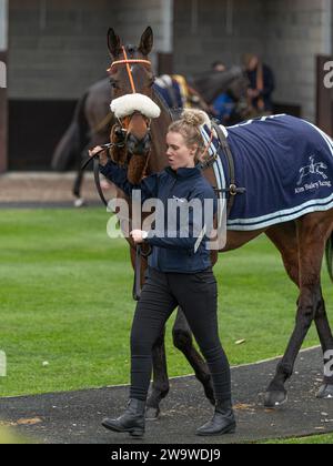 That Tiger Feet, geritten von David Bass und trainiert von Kim Bailey, Running at Wincanton, 10. März 2022 Stockfoto