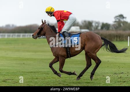 Nach dem Fuchs, geritten von Chester Williams und trainiert von Mrs. Jane Williams, lief über Hürden in Wincanton, 10. März 2022 Stockfoto