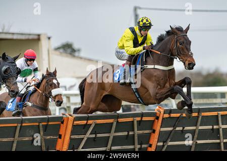 Bold Conduct, geritten von Brendan Powell und trainiert von Colin Tizzard, Rennen in Wincanton, 10. März 2022 Stockfoto