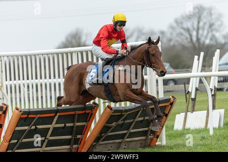 Nach dem Fuchs, geritten von Chester Williams und trainiert von Mrs. Jane Williams, lief über Hürden in Wincanton, 10. März 2022 Stockfoto