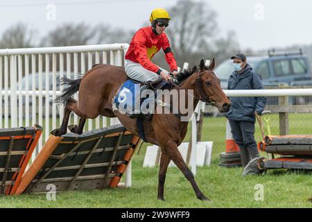 Nach dem Fuchs, geritten von Chester Williams und trainiert von Mrs. Jane Williams, lief über Hürden in Wincanton, 10. März 2022 Stockfoto