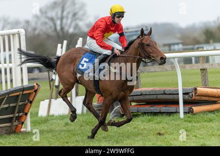 Nach dem Fuchs, geritten von Chester Williams und trainiert von Mrs. Jane Williams, lief über Hürden in Wincanton, 10. März 2022 Stockfoto