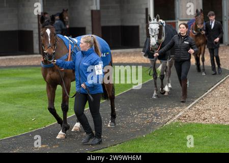 Lanspark, geritten von Brendan Powell und trainiert von Colin Tizzard, lief über Hürden in Wincanton, 10. März 2022 Stockfoto