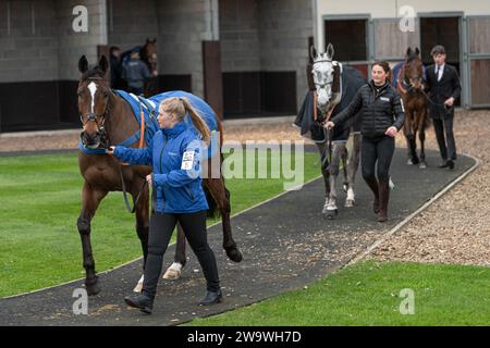 Lanspark, geritten von Brendan Powell und trainiert von Colin Tizzard, lief über Hürden in Wincanton, 10. März 2022 Stockfoto