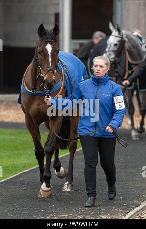 Lanspark, geritten von Brendan Powell und trainiert von Colin Tizzard, lief über Hürden in Wincanton, 10. März 2022 Stockfoto