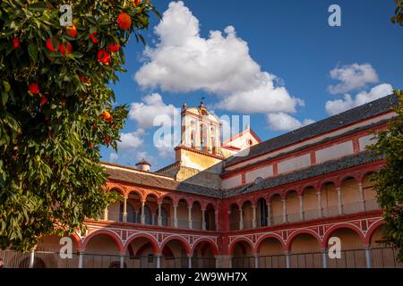 Abgebauter Kreuzgang des ehemaligen Franziskanerklosters San Pedro el Real in Córdoba, Andalusien, Spanien mit einem Orangenbaum im Vordergrund Stockfoto