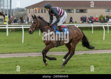 Lanspark, geritten von Brendan Powell und trainiert von Colin Tizzard, lief über Hürden in Wincanton, 10. März 2022 Stockfoto