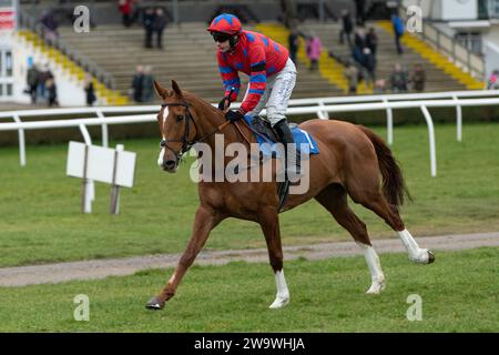 Off the Planet, geritten von Tom O'Brien und trainiert von Philip Hobbs, Rennen in Wincanton am 10. März 2022 Stockfoto