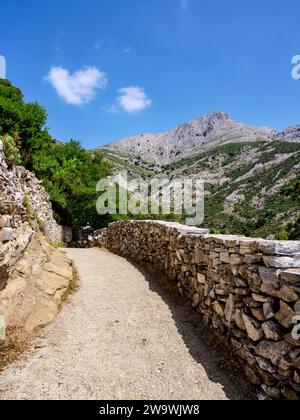 Wanderweg zum Berg Zas oder Zeus, Naxos Island, Kykladen, Griechenland Stockfoto