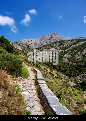 Wanderweg zum Berg Zas oder Zeus, Naxos Island, Kykladen, Griechenland Stockfoto