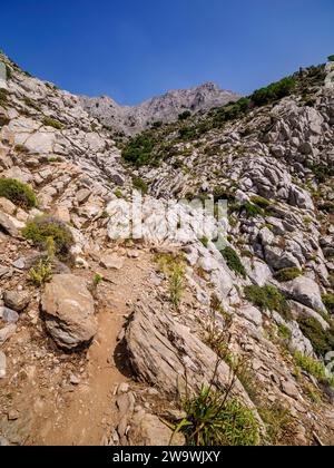 Wanderweg zum Berg Zas oder Zeus, Naxos Island, Kykladen, Griechenland Stockfoto