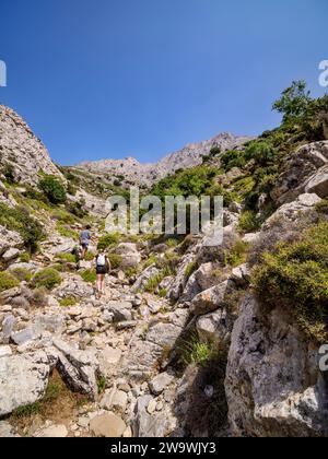 Wanderweg zum Berg Zas oder Zeus, Naxos Island, Kykladen, Griechenland Stockfoto