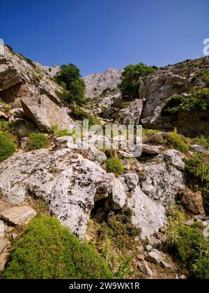 Blick auf den Gipfel des Zas oder Zeus, Naxos Island, Kykladen, Griechenland Stockfoto