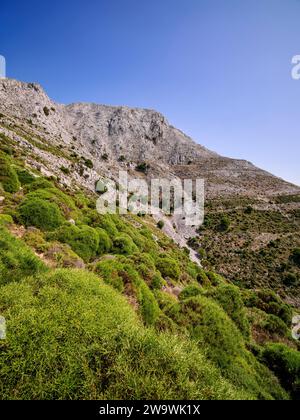Blick auf den Gipfel des Zas oder Zeus, Naxos Island, Kykladen, Griechenland Stockfoto