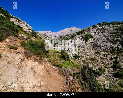 Wanderweg zum Berg Zas oder Zeus, Naxos Island, Kykladen, Griechenland Stockfoto