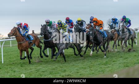 Das Feld, das die Heimgeraden in der Bumper in Wincanton runterfährt, 10. März 2022 Stockfoto