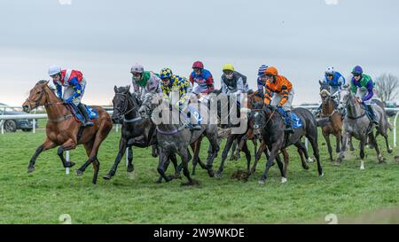 Das Feld, das die Heimgeraden in der Bumper in Wincanton runterfährt, 10. März 2022 Stockfoto