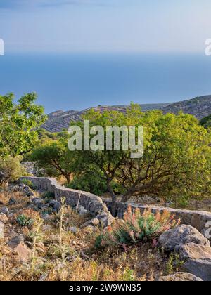 Alter Weg nach Nikia Dorf, Nisyros Insel, Dodekanese, Griechenland Stockfoto