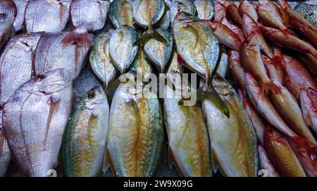 Verkauf von Fisch aus dem Persischen Golf auf dem Basar in Abu Dhabi. Seebrassen (Sargus) sind vorherrschend Stockfoto