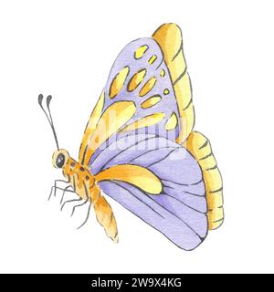 Aquarell lila Schmetterling isoliert auf weißem Hintergrund Hand gezeichnet. Gelbe Illustration im botanischen Stil für Design-Logo, Hochzeitseinladung, Post Stockfoto