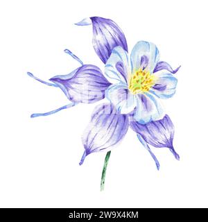 Aquarell lila Blume isoliert auf weißem Hintergrund Hand gezeichnet. Violette Illustration im botanischen Stil für Design-Logo, Hochzeitseinladung, Postkarte Stockfoto