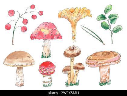 Aquarell Clipart Pilzfliege Agarisch, Honig Agarisch, Milchpilz, Safranmilchkappe, Boletus, russula, handgezeichnet im botanischen Stil. Kunstdesign Stockfoto