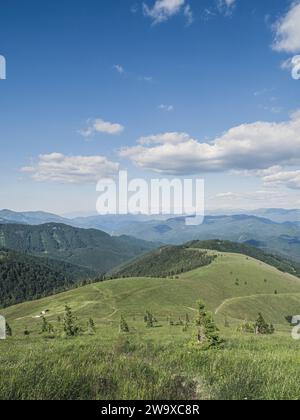 Blick vom Velka Fatra Nationalpark. Panorama-Gebirgslandschaft in der Slowakei in der Nähe von Kralova Studna. Sommerfarben der Natur Stockfoto