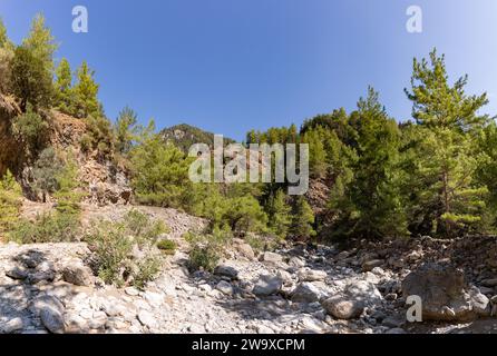 Ein Bild der klassischen Landschaft der Samaria-Schlucht mit Felsen auf dem Boden und umliegenden Bäumen und Bergen. Stockfoto