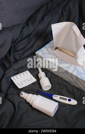 Hausmedizin für Schornsteine auf einer Decke zu Hause, Draufsicht Stockfoto