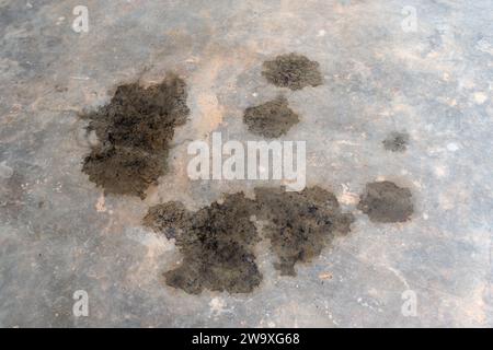 Ölflecken oder Verschmutzungen von Autos auf schmutzigem grauen Betonboden oder Garagenboden. Schmutzige Betonhintergrundstruktur. Stockfoto