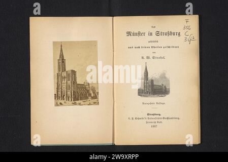 Fotoproduktion eines Gesichts auf der Kathedrale von Straßburg, Anonym, um 1882 - in oder vor 1887 Fotografie Straßburg (Frankreich) fotografischer Träger Albumenkirche (außen) Stockfoto