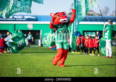 Treviso, Italien. Dezember 2023 30. Das Benetton Treviso Maskottchen wurde während der United Rugby Championship 2023/24 zwischen Benetton Treviso und Zebre Parma im Monigo Stadion gezeigt. Endrunde; Benetton Treviso 36 : 14 Zebre Parma. (Foto: Alberto Gardin/SOPA Images/SIPA USA) Credit: SIPA USA/Alamy Live News Stockfoto