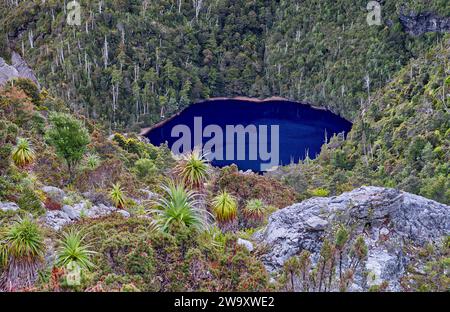 Der Gletschersee Tahune ist ein Gebirgssee, der sich im Wald unterhalb des Frenchmans Cap im Franklin-Gordon Wild Rivers National Park, Tasmanien, Australien, befindet Stockfoto