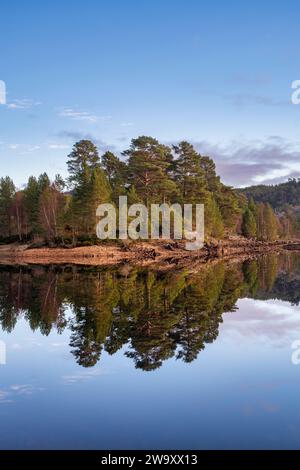 Schottische Kiefern spiegeln sich in Loch Beinn a' Mheadhoin. Glen Affric, Highlands, Schottland Stockfoto