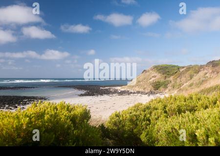 Heller, sonniger Tag am Strand in Port Fairy an der Great Ocean Road, Australien. Stockfoto