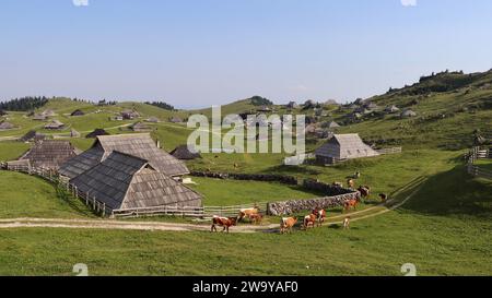 Drohnenfoto Velika Planina Slowenien Europa Stockfoto