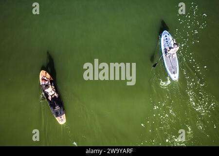 Zwei Stehpaddler, die von oben auf dem Wasser geschossen wurden. 2 Stehpaddler aus der Vogelperspektive fotografiert Stockfoto