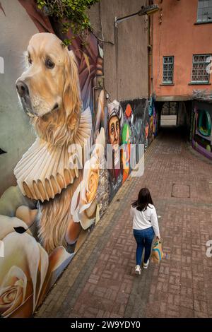 Irland, Munster, Waterford, Hund in Rüschen Wandgemälde an Guineys Gassenwand Stockfoto