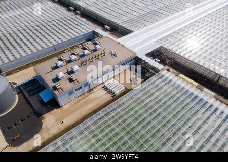 Industrielle landwirtschaftliche Gewächshäuser für den Gemüseanbau. Luftaufnahme... Stockfoto