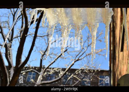 Schmelzende Eiszapfen hängen vom Dach mit blauem Himmel Hintergrund. Sonniger Tag. Warmer Wintertag. Stockfoto