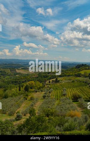 Panoramablick auf den Weinberg in den Hügeln der toskana in der Nähe von San Gimignano, Italien Stockfoto