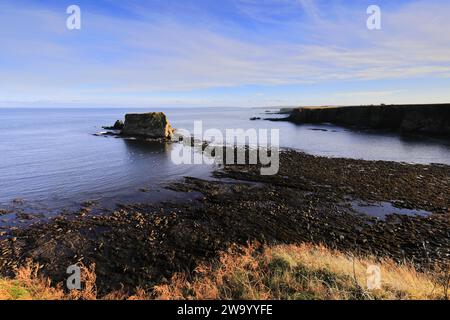 Blick auf Cleet of Brough Rocks, Brough Village, Caithness, Schottland, Großbritannien Stockfoto