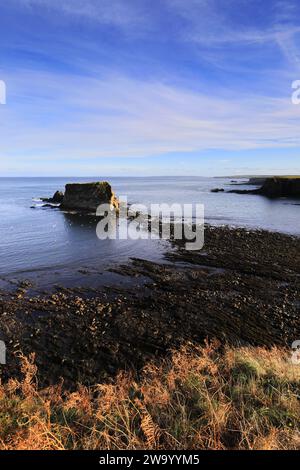 Blick auf Cleet of Brough Rocks, Brough Village, Caithness, Schottland, Großbritannien Stockfoto