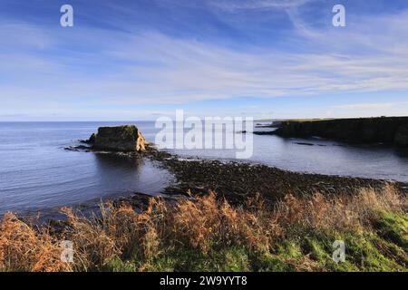 Blick auf Cleet of Brough Rocks, Brough Village, Caithness, Schottland, Großbritannien Stockfoto