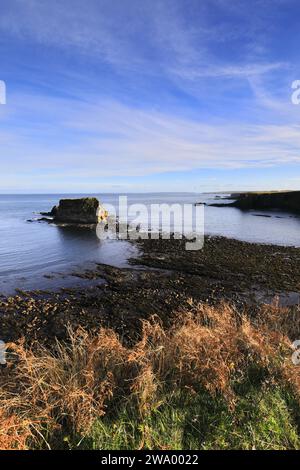 Blick auf Cleet of Brough Rocks, Brough Village, Caithness, Schottland, Großbritannien Stockfoto