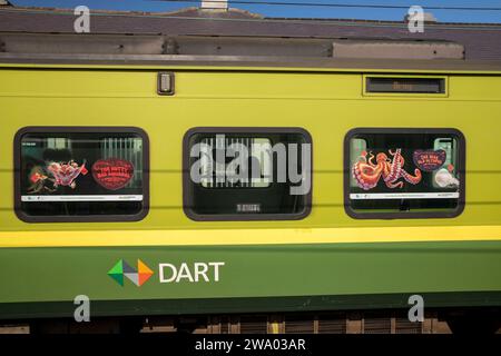 Irland, Dublin, DART-Zugwagen Stockfoto