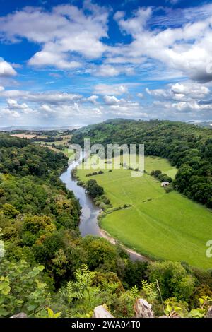 Symonds Yat Rock. Aussichtspunkt ist einer der besten Orte im Land, um Peregrine Falcons zu beobachten. Stockfoto