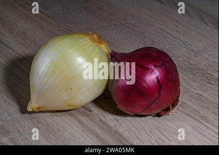 Zwei Zwiebeln, eine große süße Zwiebel und eine rote Zwiebel, lombardei, ganz, roh, ungeschält weiß und orange auf einem hellen Holztisch Stockfoto