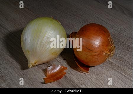 Zwei Zwiebeln, eine große süße Zwiebel und eine orange Zwiebel, spanische Zwiebel, ganz, roh, ungeschält weiß und orange auf einem hellen Holztisch Stockfoto
