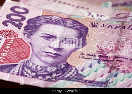 Das durchdachte Design der ukrainischen Banknoten zeigt sich auf diesem Nahaufnahme-Foto, das das Porträt von Lesja Ukrainka auf dem Griwna-Schein von 200 betont. Stockfoto